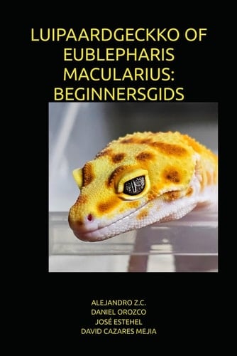 LUIPAARDGECKKO OF EUBLEPHARIS MACULARIUS: BEGINNERSGIDS (Dutch Edition)