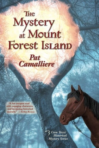 The Mystery at Mount Forest Island