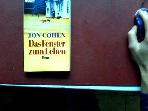 Das Fenster zum Leben Roman