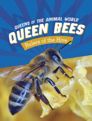 Queen Bees Rulers of the Hive