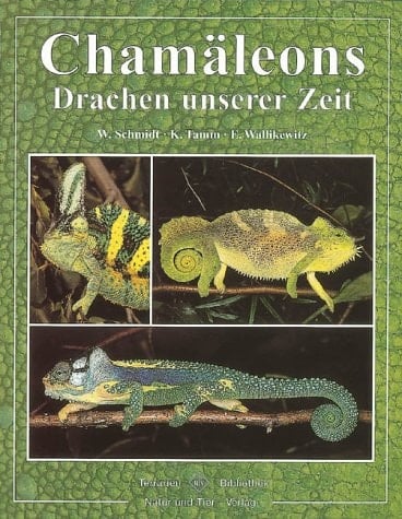 Chamäleons Drachen unserer Zeit