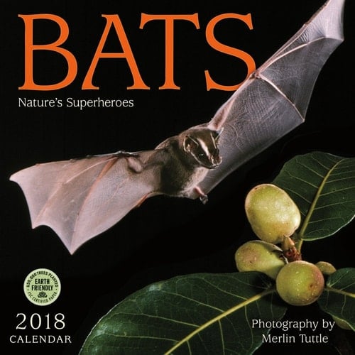 Bats 2018 Wall Calendar: Nature's Superheroes