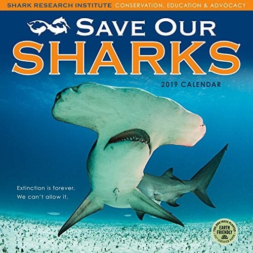 Save Our Sharks 2019 Wall Calendar
