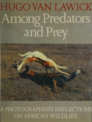 Among Predators and Prey: A Photographer's Reflection on African Wildlife