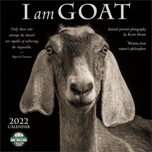 SMALL CHANGES I Am Goat 2022 Calendar, 1 EA