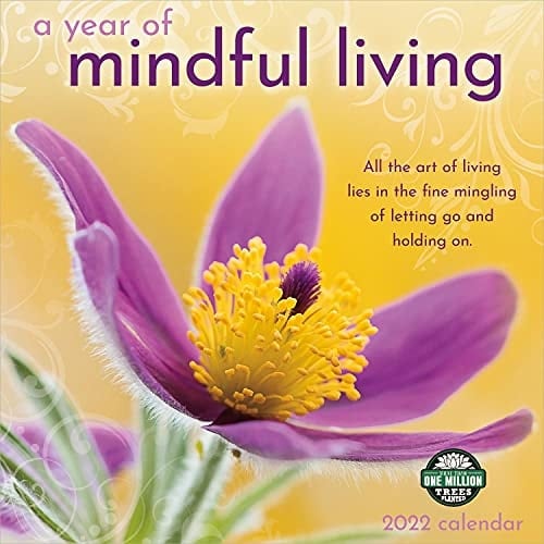 SMALL CHANGES Mindful Living 2022 Calendar, 1 EA