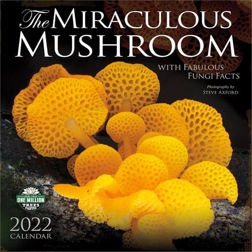 The Miraculous Mushroom 2022 Wall Calendar: With Fabulous Fungi Facts
