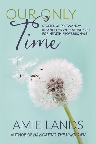 Our Only Time Stories of Pregnancy/Infant Loss with Strategies for Health Professionals
