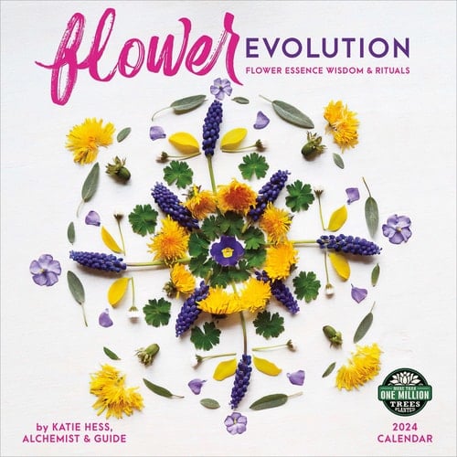Flower Evolution 2024 Wall Calendar: Flower Essence Wisdom & Rituals by Katie Hess | 12" x 24" Open | Amber Lotus Publishing