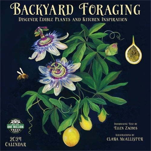 Backyard Foraging 2024 Wall Calendar: Discover Edible Plants and Kitchen Inspiration by Ellen Zachos | 12" x 24" Open | Amber Lotus Publishing