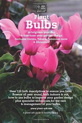 Plant Bulbs: to brighten your day & fine-tune your garden’s design (Plant plants)