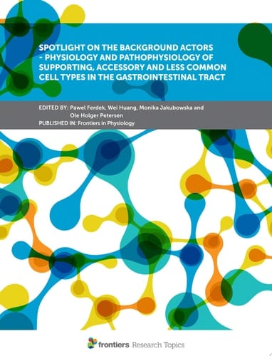 Spotlight on the Background Actors - Physiology and Pathophysiology of Supporting, Accessory and Less Common Cell Types in the Gastrointestinal Tract