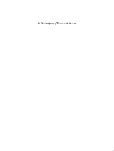 In the Company of Crows and Ravens