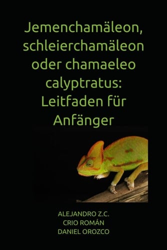 Jemenchamäleon, schleierchamäleon oder chamaeleo calyptratus - Leitfaden für Anfänger