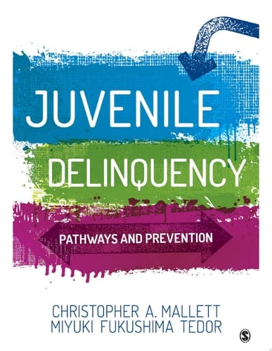 Juvenile Delinquency Pathways and Prevention