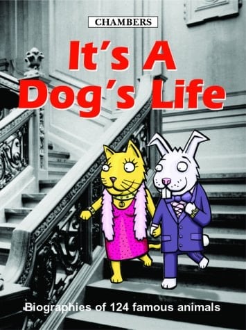 It's a Dogs' Life