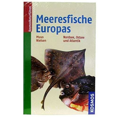 Meeresfische Europas in Nordsee, Ostsee und Atlantik