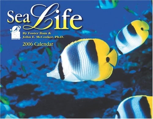Sea Life 2006 Calendar