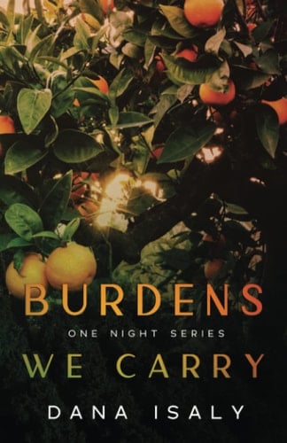 Burdens We Carry (One Night Series)