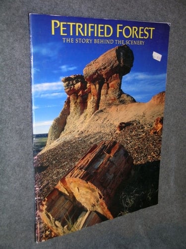 Petrified Forest: The Story Behind the Scenery