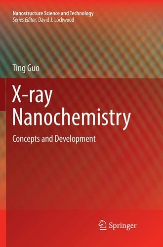 X-ray Nanochemistry Concepts and Development