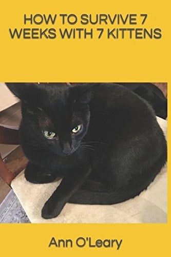 How to Survive 7 Weeks with 7 Kittens Blackie, Cutie's Kitty, Manages Her Life with Her Usual Panache