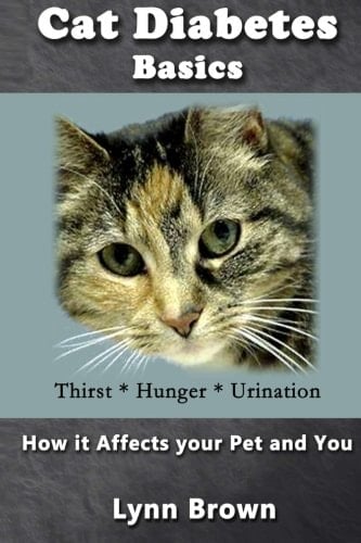 Cat Diabetes Basics: How It Effects Your Pet and You