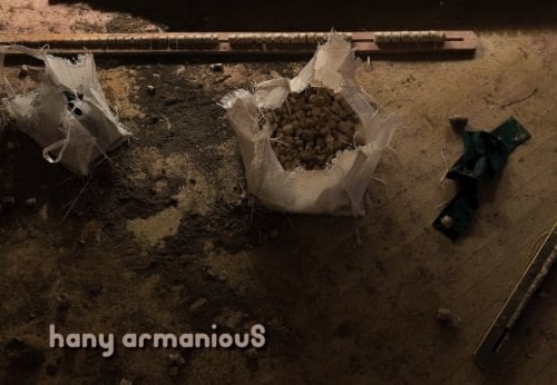 Morphic Resonance Hany Armanious