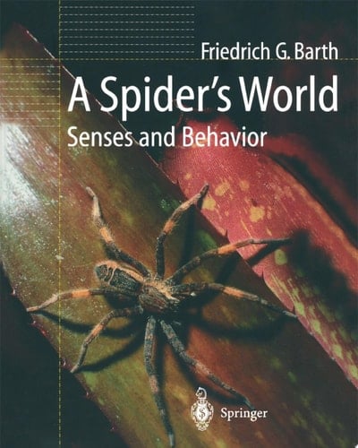 A Spider’s World