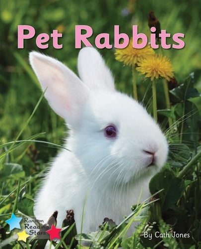 Pet Rabbits Phonics Phase 3