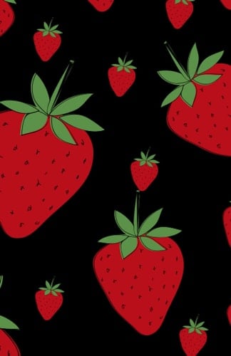 Strawberry Bullet Journal: Bullet Journal