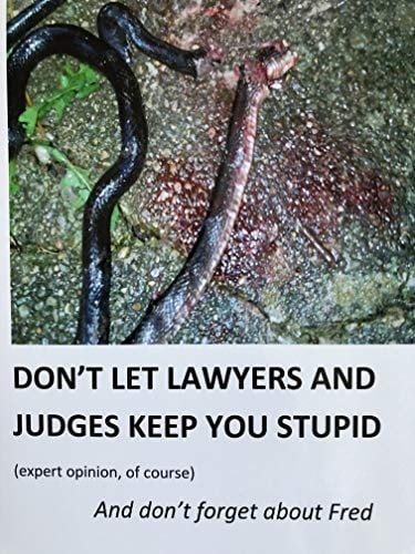 Don't Let Lawyers and Judges Keep You Stupid (expert Opinion, of Course) and Don't Forget about Fred