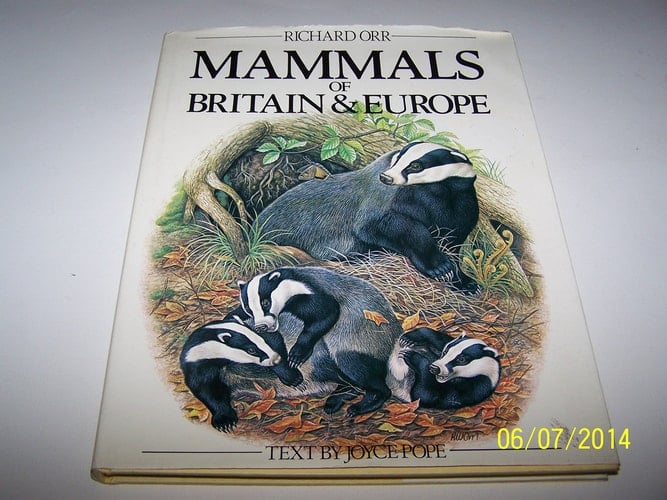 Mammals of Britain & Europe