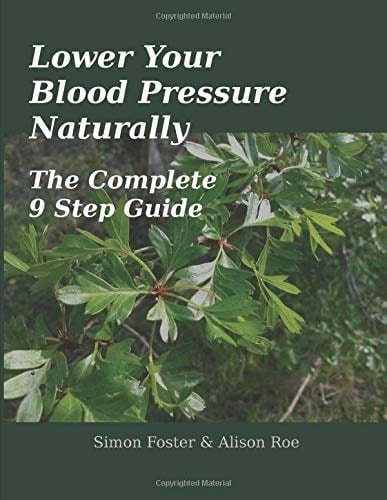 Lower Your Blood Pressure Naturally The Complete 9 Step Guide