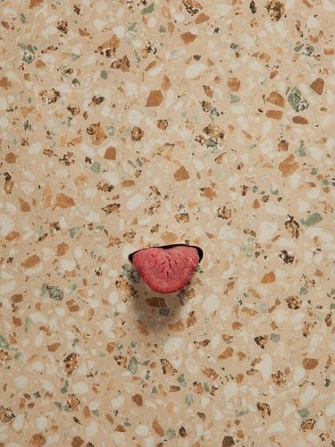 Mika Rottenberg - Dough Cheese Squeeze and Tropical Breeze Work