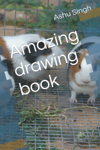 Amazing drawing book