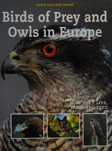 Birds of prey and owls in Europe
