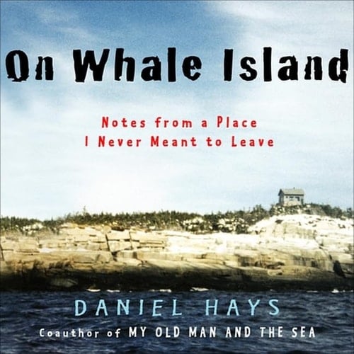 On Whale Island Lib/E: Notes from a Place I Never Meant to Leave