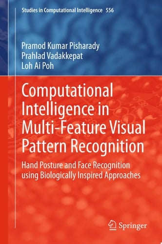 Computational Intelligence in Multi-Feature Visual Pattern Recognition