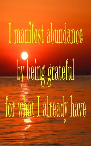 I Manifest Abundance by Being Grateful for What I Already Have Gratitude 5X8 110 Blank Pages Abundance Notebook