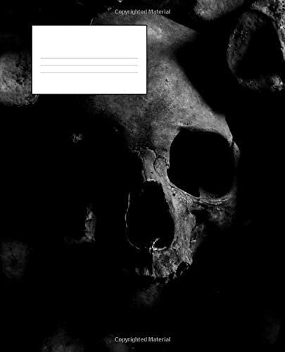Dark Skull 150 Page College Ruled Lined Composition Notebook