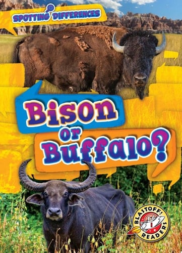 Bison or Buffalo?