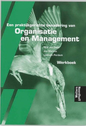 Een praktijkgerichte benadering van Organisatie en Management werkboek