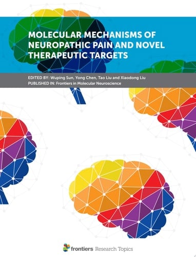 Molecular Mechanisms of Neuropathic Pain and Novel Therapeutic Targets