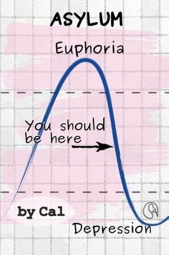 Asylum Introspective