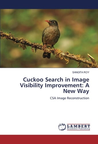 Cuckoo Search in Image Visibility Improvement: A New Way: CSA Image Reconstruction