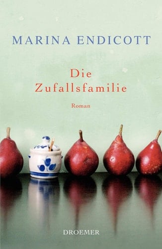Die Zufallsfamilie Roman