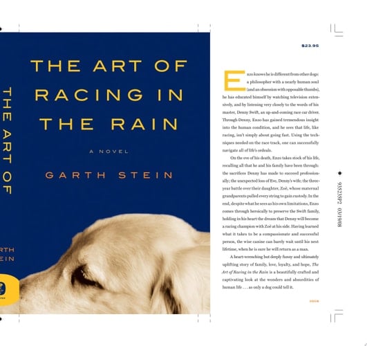 The Art of Racing in the Rain