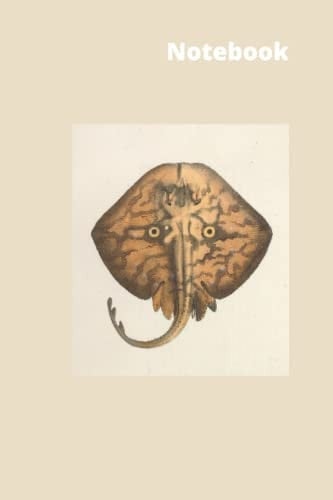 Basic Notebook: 60 double-sided blank lined inner pages (120 total pages)