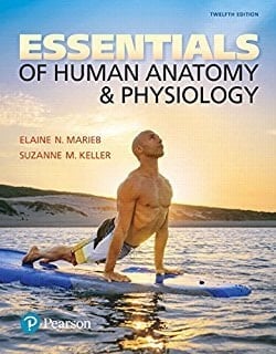 Essentials of Human Anatomy & Physiology